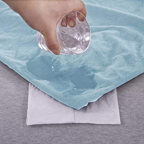 Image of Lithara Terry Cotton Fitted Mattress Protector for Single Bed | Waterproof & Elastic Band | Ultra Soft & Hypoallergenic Mattress Cover | Size : 30 x 75 Inches (2.5 x 6.25 Feet) | (Sky Blue)