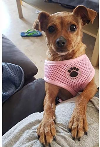 Miniatura 2 de Arnés de malla suave para perro, sin tirones, cómodo chaleco acolchado ajustable (M2, rosa)