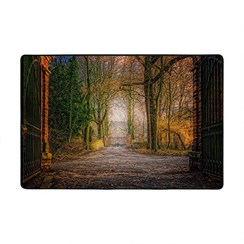 Grand tapis de porte vert velours corail Ruchen tapis entrée 152x99