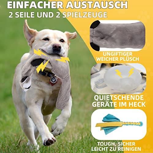 KOXXUD Reizangel Hunde, Profi Reizangel für Kleine, Mittelgroßer, Große Hunde für Ultimativen Spielspaß & Körperliche Auslastung (Seilstreifen + Biber)