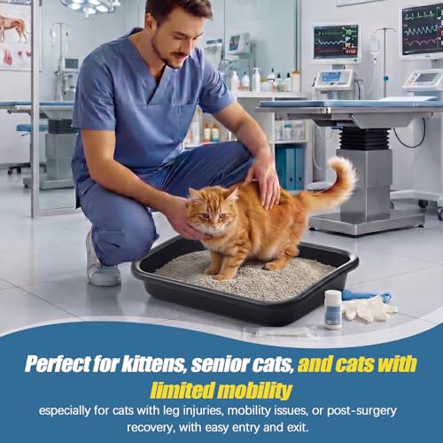 Uiifan Set 6 Pzs Arenero para Gatos Tamaño Extra Grande miniatura 6