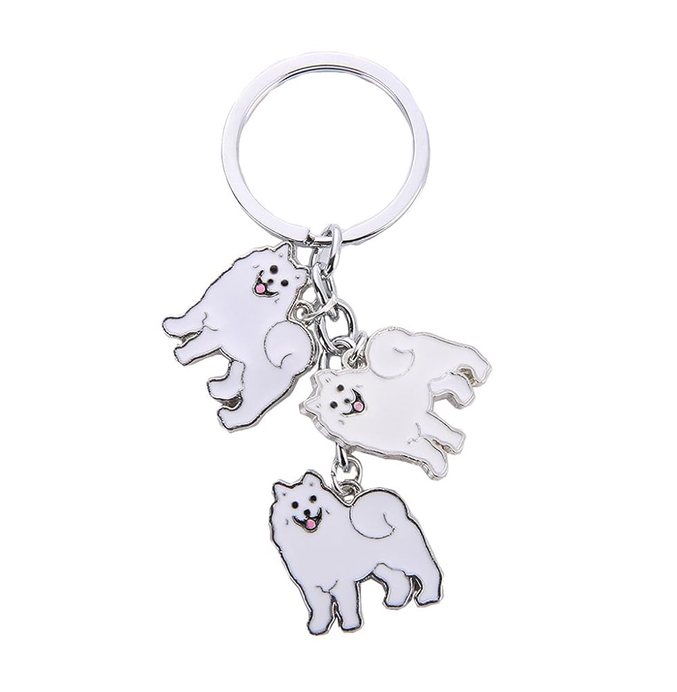 20 Best Gifts for a Samoyed Owner - iHeartDogs.com 24