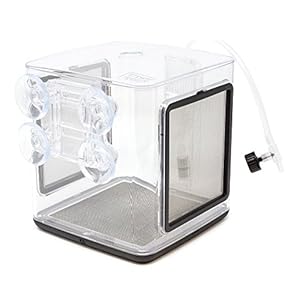 kweekbak BL-3B 14 x 15 cm RVS transparant 5-delig