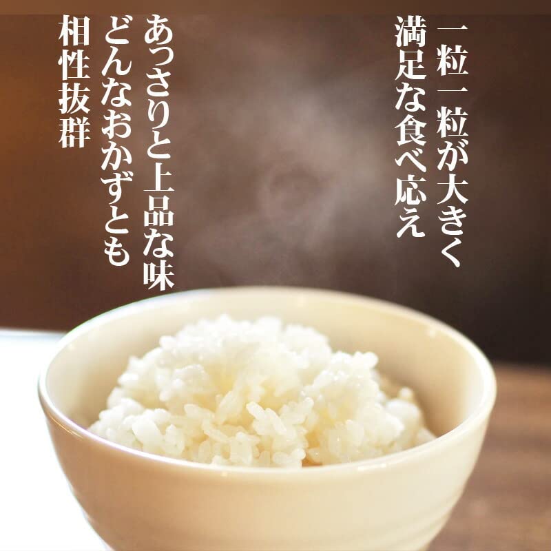 平成29年度産 餅米4.5キロ精米済み 【公式通販】 平成29年度産 餅米4.5キロ精米済み 【公式通販】