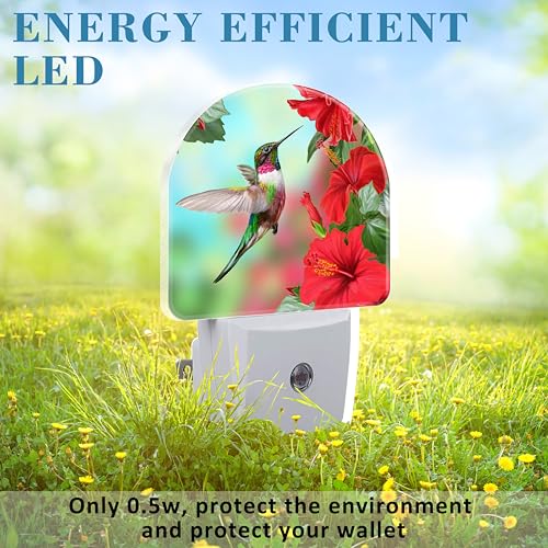 Image of Hummingbird on Lossoming Red Flower Night Light Plug into Wall with Dusk to Dawn Sensor Cute Nightlight for Kid Girls Boys Women Men Room Decor, Hallway, Kitchen, Bathroom, Nursery, Stairs