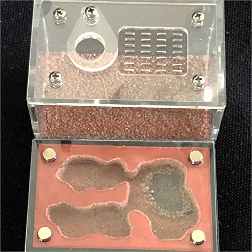 ZSBY Mieren Boerderij Insect Ant Villa Hydraterende Licht Shading Ecologische F Mieren Farm Acryl Pleister Mieren Nest… - Afbeelding 3