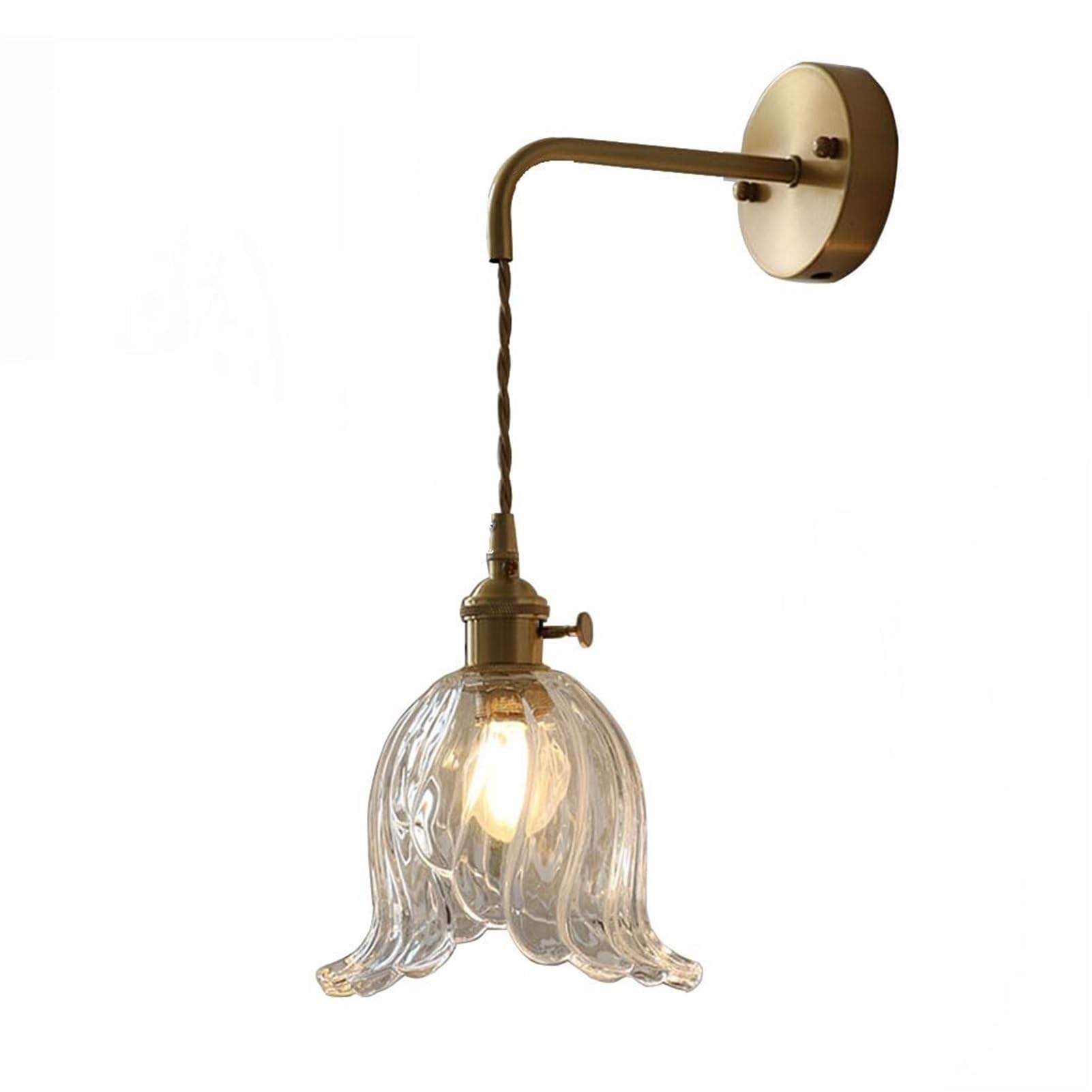HUAYUSEDF Industrial Vintage Glass Adjustable Hanging Wire Wall Sconce with Rotary Switch for Bedroom Living Room Loft Corridor(Transparent)