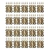 iplusmile Vogel Accessoire 40 STKS Papegaai Nest Box Accessoires Anti- bijt Ring Vlinder Scharnier Lock met Schroef