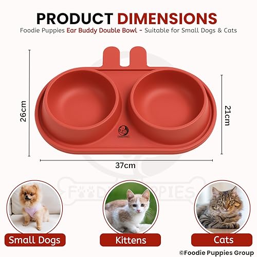 Image of Foodie Puppies Pet Feeding Tilted Cat Bowl - (Ear Buddy Double Bowl) | Durable, Anti Vomiting, Healthy Cat Feeder for Persian Cat Prevent Tipping Over | Feeder for Cats, Kittens & Puppies