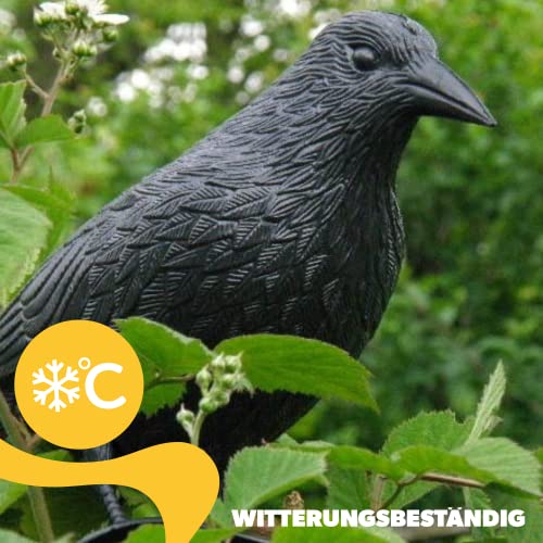 KADAX 2 Stück Schwarz Rabe, Taubenabwehr und Taubenschreck aus Kunststoff, Vogelabwehr, natürliche Schädlingsbekämpfung, Schutz vor lästigen Vögeln