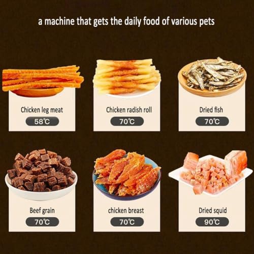 Máquina desidratadora de alimentos de 6 camadas Máquina de secar frutas de aço inoxidável com contro