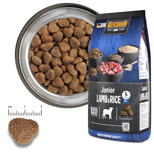 Belcando Junior Lamb & Rice [12,5 kg] Hundefutter | Trockenfutter für Junghunde | Alleinfuttermittel für Junghunde ab 4 Monaten