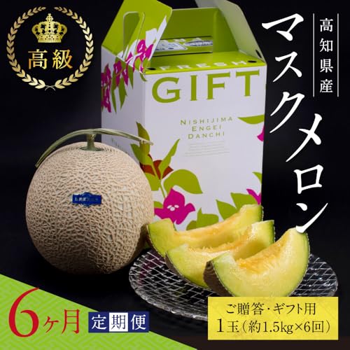 [ふるさと納税] [6ヶ月定期便]故郷納税 高知県産 高級マスクメロン(ご贈答・ギフト用)1玉入 [発送期間:4月〜12月(9カ月)][1月〜3月は気候温度不安定の為出荷不可となります。][南国市共通返礼品] 60000円 ギフト フルーツ 果物 贈答