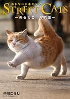 STREET CATS -のらねこ。写真集- 4757747381 Book Cover