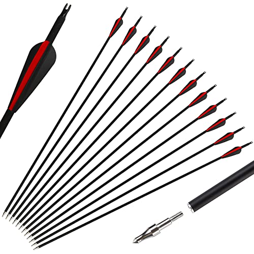 REAWOW 12 St¨¹ck Bogenschie?en Mixed Carbon Arrows 30 Zoll Jagdpfeile f¨¹r Recurve Bow Longbow und Straight Bow Targeting Arrows ¡­ … Cover
