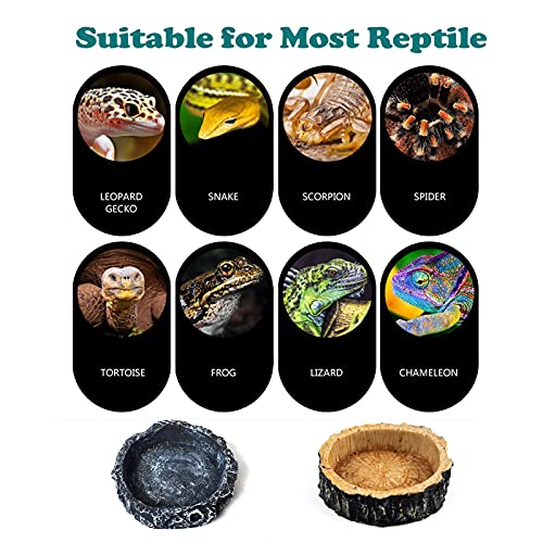 6 Stks Reptiel Voeden Kommen Ronde Wastafel Schildpad Voedsel Schotel Lichtgewicht Reptiel Voedsel Container, Reptiel… - Afbeelding 5