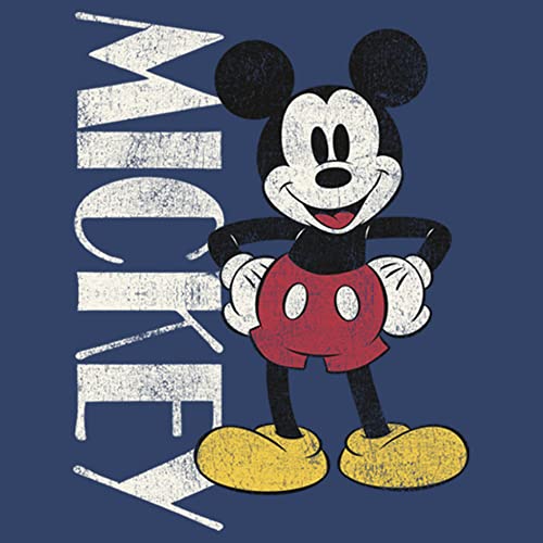 Disney Friends Mickey Vintage Stance Boys Hoodie2