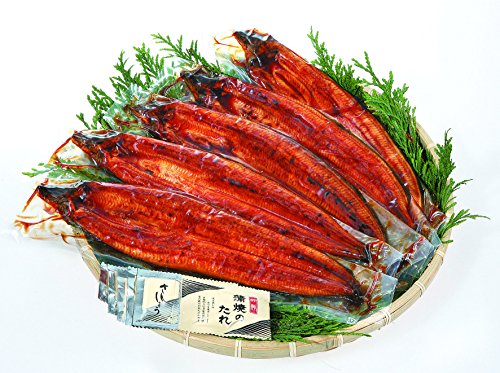 【株式会社Ａコープ鹿児島】 鹿児島県産 うなぎ蒲焼 ギフト真空パック 5尾