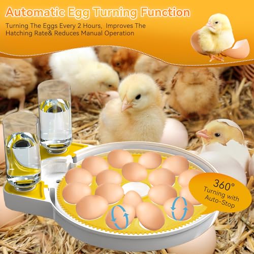 18-60 Egg Automatic Turning & Humidity Incubator with Water Adding & 360° View