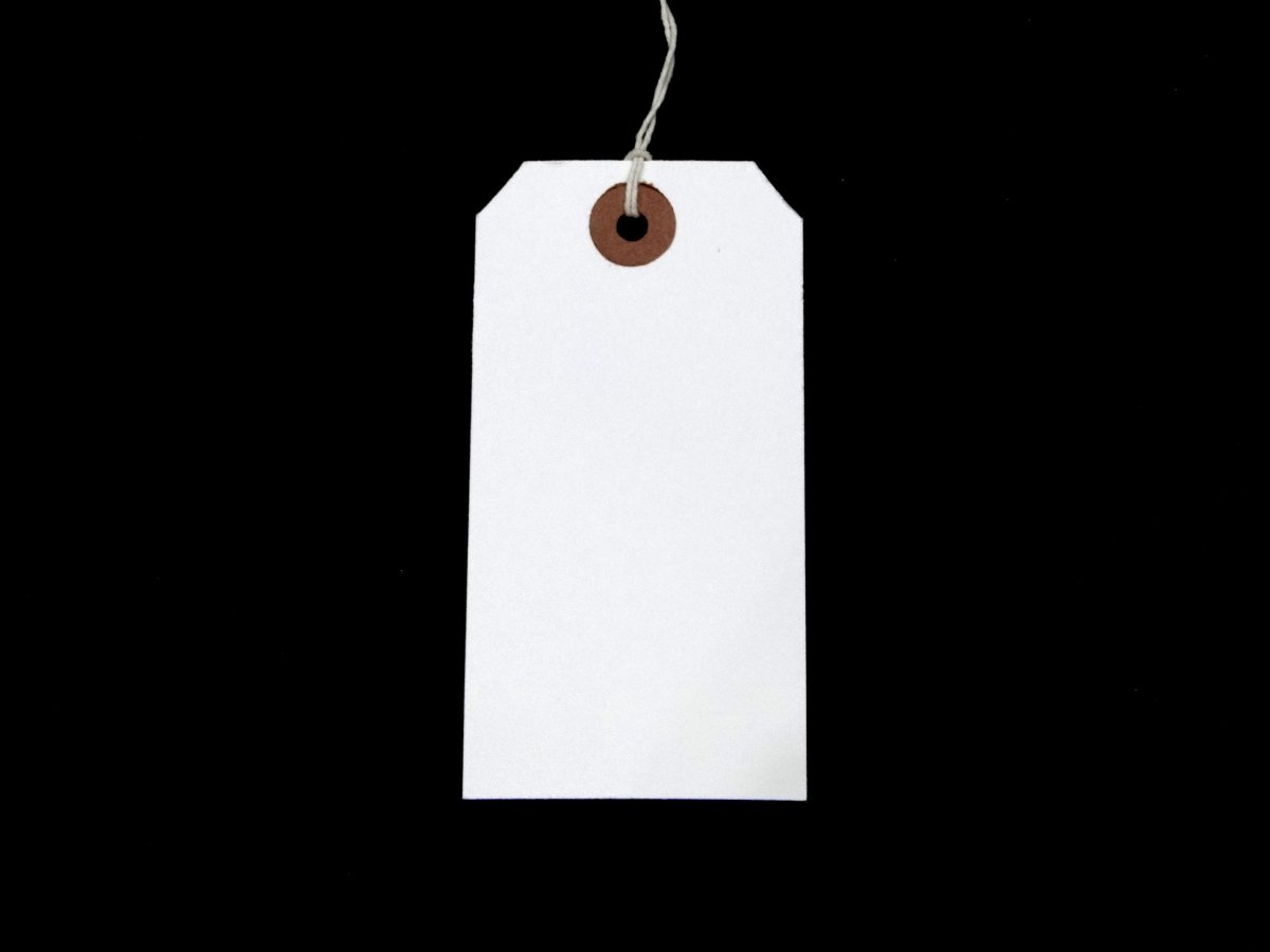 White Strung Tags 120mm x 60mm Reinforced Luggage Tags Tie On String Labels (1000 Pack) Ivy