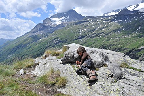 アマゾンレビュー 5 0満点連発のフランス犬映画 ベル セバスチャン 新たな旅立ち いぬころ