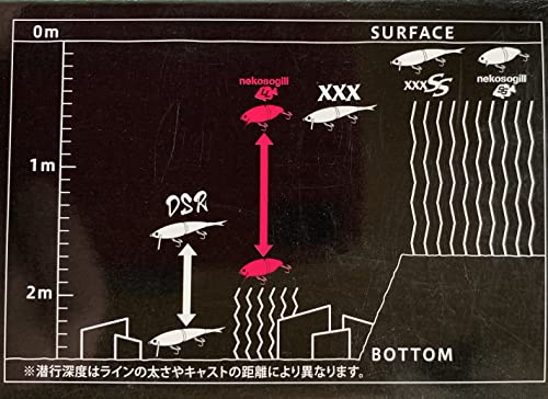 ファットラボ ネコソギル ロングリップ アカメ(幼魚) 4枚目