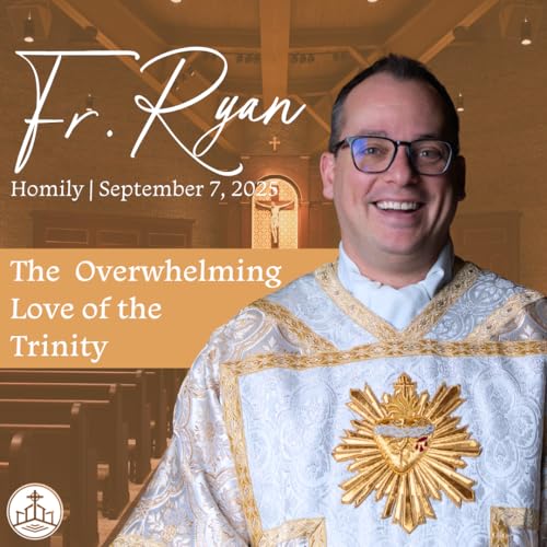 582. Fr. Ryan Homily - The Overwhelming Love of the Trinity cover art