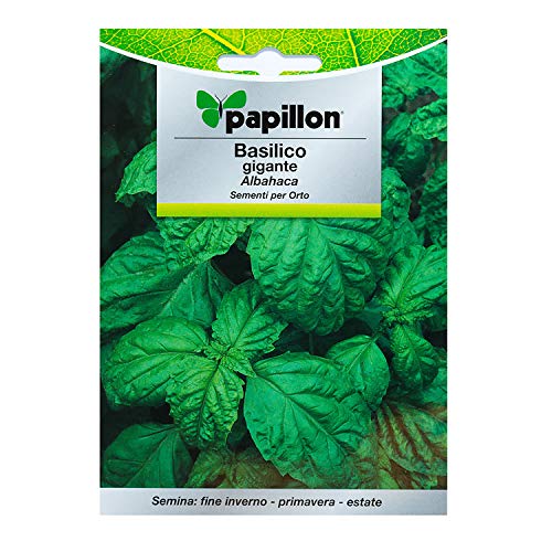 Sementi per orto BASILICO GIGANTE Papillon