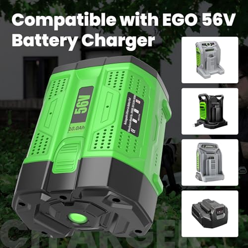 Image of Upgraded 10.0Ah 2 Pack Rechargeable Battery Replacement for EGO 56V Battery