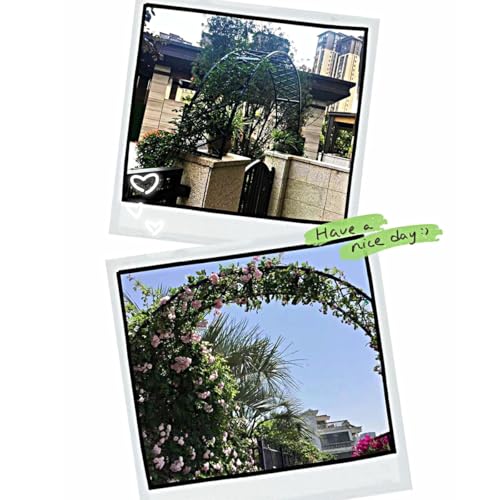 ZBJDX Gartenlaube, Metall, gewölbtes Rankgitter, Weinrebenbogen, Blumenregal, Pflanzen, Klettergitter, Outdoor, Hinterhofzaun, Stützrahmen, Grün, 180 cm