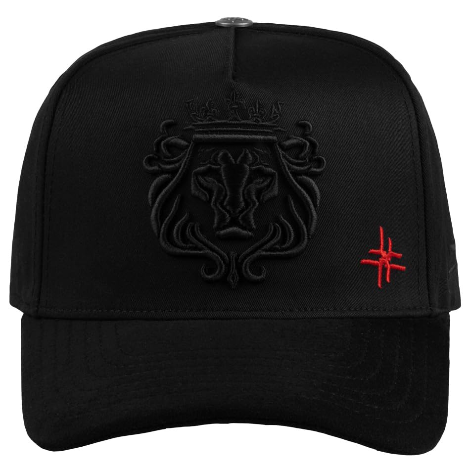 Consejos para Comprar Gorras de Moda los mejores 10. 49 JC Hats Gorra Streetwear XY, Vicera Curva con Logos Bordados Alta Calidad, Unitalla Snapback Ajustable. (EL Rey)