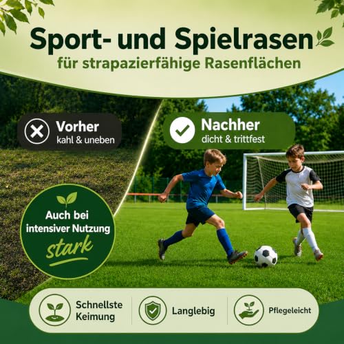 Foto von Rasensamen Sport und Spielrasen schnellkeimend 2,5kg | Grassamen Rasensaat