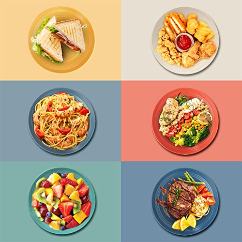 Oamceg 12 Pack Plastic Plates Reusable 9 Inches Unbreakable Eco-Friendly Lightweight Wheat Straw Plates, Salad Plates, Camping Plates, Dinner Plates, Dishwasher & Microwave Safe, Bpa Free #TOP2