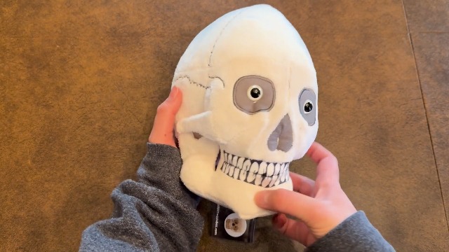 Amazon.com: GIANT MICROBES Skull Plush, Halloween Decor, Anatomy