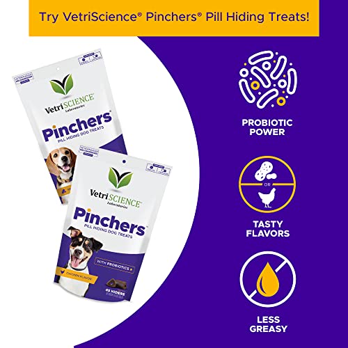 Vetriscience Bladder Strength For Dogs, 90 Chewable Tablets - Vet Formulated Bladder Control Supplement With Saw Palmetto #TOP4