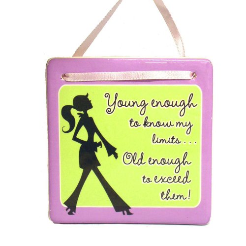 amscan Young Enough to Know Plaque, Over The Hill Birthday Gag Gift