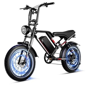 Elektrische Fiets voor Volwassenen, 20″ x 4.0″ Dikke Banden, 48V 17.5AH Batterij, E-bike met 7 Versnellingen, Actieradius 55 KM, Mountainbike voor Dames en Heren