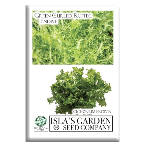 Green Curled Ruffec Endive Seeds for Planting (Cichorium endivia) – 300+ Non-GMO & Heirloom Seeds by Isla’s Garden Seeds, Crisp Curly Greens Ideal for Salad Mixes, Containers & Garden Beds, Gardening