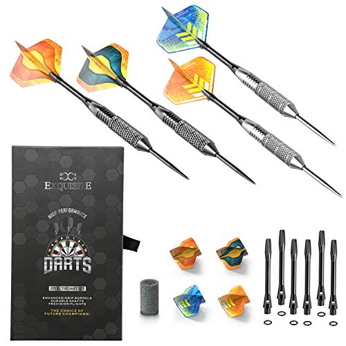 CC-Exquisite Jeu De Fléchettes À Pointe En Acier Professionnel - 12 Canons En Acier De 22 G Avec 20 Vols Standard, 12 Tiges En Aluminium De 35/48 Mm, 12 Joints Toriques, Affûteur De Fléchettes Et Étui Cover
