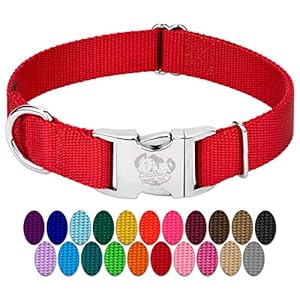 Country Brook Petz Premium Nylon Dog Collar with Metal Buckle for Small Medium Large Breeds – Vibrant 30+ Color Selection (Large, 1 Inch, Bright Red)