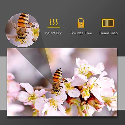 Image of BIGFALCON Premium 260 GSM 4R Size (4X6 inch) Matt (Luster) RC Resin Coated Waterproof Inkjet Photo Paper 50 Sheets for all Inkjet Printer (Pack of 1)