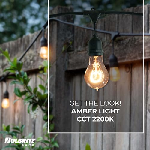 Luces de cadena Bulbrite 48 pies E26 A19 miniatura 2
