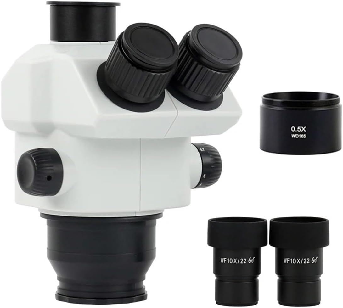 Shinsuke Ikeuchi 池内信介 6号 2024新作品 暮らしの中で本物と