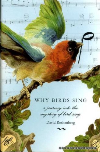 Why Birds Sing: A Journey Into the Mystery of Bird Song Hardcover – Import, 12 April 2005