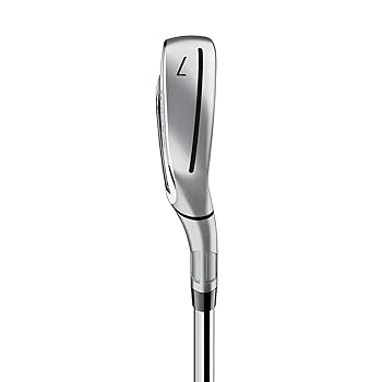 Amazon.com : TaylorMade Golf Qi Iron 5-P Grahite Shaft