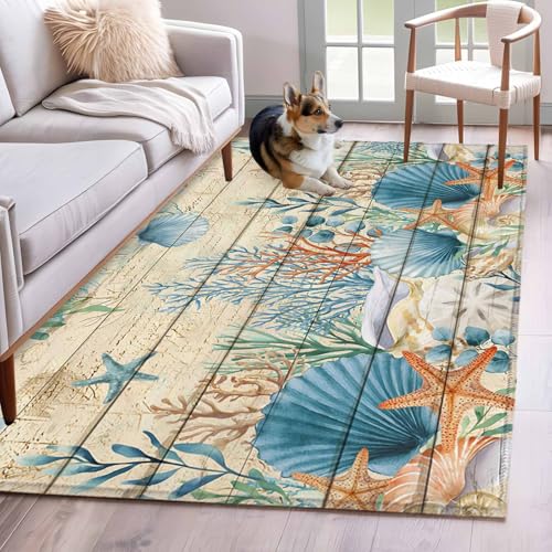 Vintage Coastal Area Rug 4
