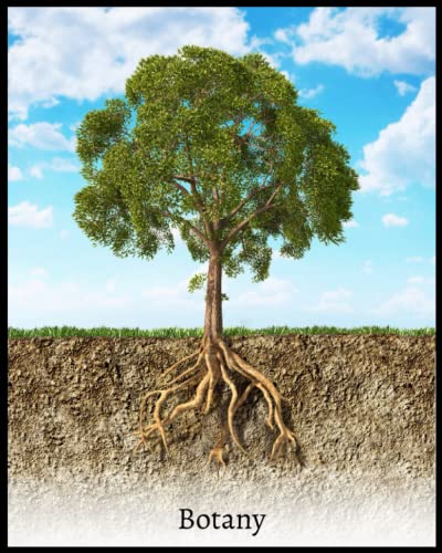 Home 106 Botany Notebook: Tree Root Design, Notebook for Botany Textbook Notes, Class Notes (8×10 inch, college ruled, 120 pages)