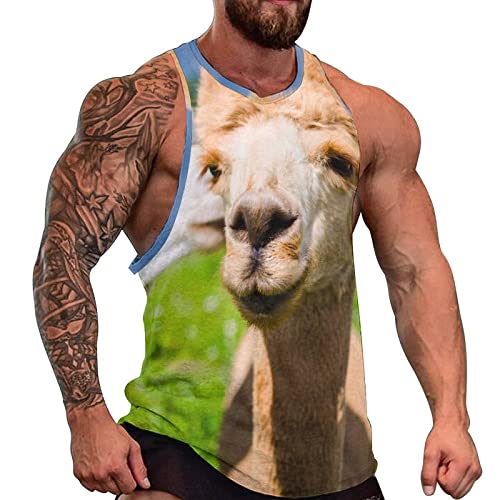 Camiseta gimnasio de culturismo para hombre con estampado de alpaca en talla 4XL