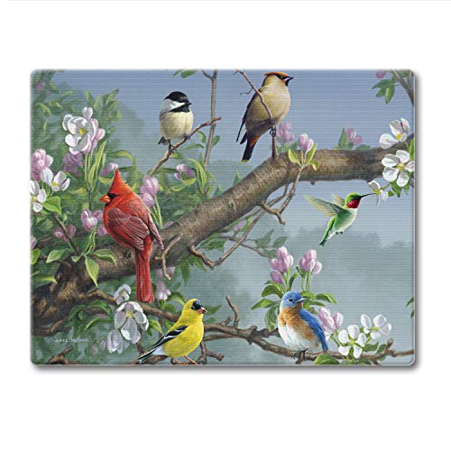 Tabla de cortar rectangular de vidrio templado 10x8 pulgadas miniatura 1