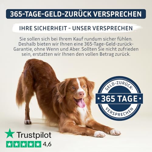 PetFokus Vital Formel Plus | unterstützt Verdauung, strahlendes Fell, Energie & Vitalität | Futterergänzung für Hunde | Vitamine, Mineral- & Pflanzenstoffe I Probiotika & Omega-3 | leckerer Geschmack